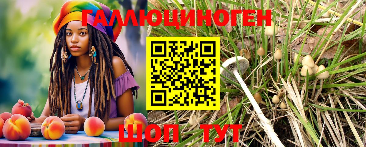 Псилоцибиновые грибы Psilocybe Богданович